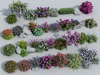 花草花卉组合