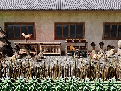 现代美丽乡村庭院 农村鸡舍鸡窝 养鸡场 公鸡 母鸡 鸭子 鸡蛋鸭蛋 草垛