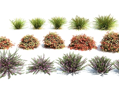 草