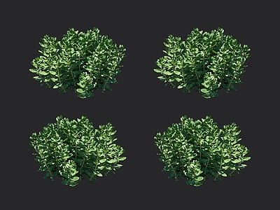 草