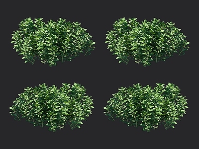草