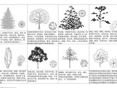 各种平立面树种图块 图库