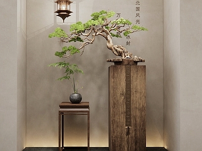 新中式松树盆景 松树