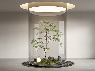 现代室内景观造景 小品 植物堆 树 鹅卵石