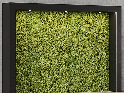 绿植墙 墙饰