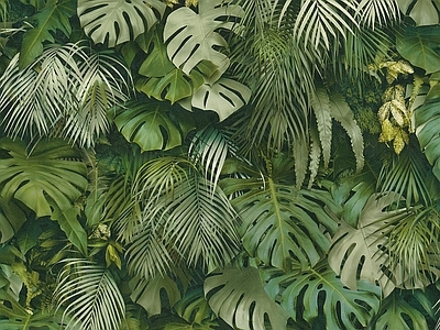 植物绿植墙