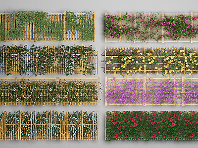 现代栅栏围栏 篱笆 花墙 植物墙 攀爬植物 藤蔓植物 月季玫瑰