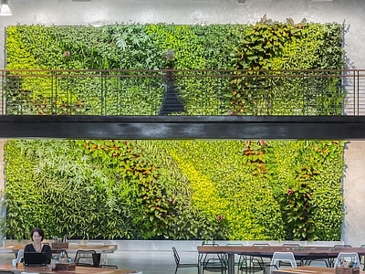 绿植外墙