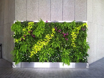 绿植外墙