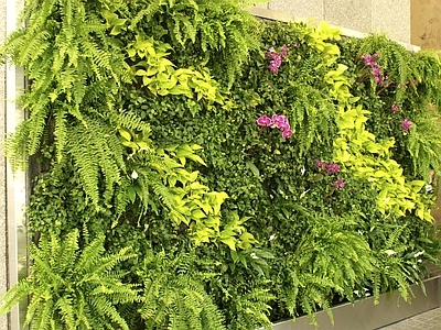 绿植外墙