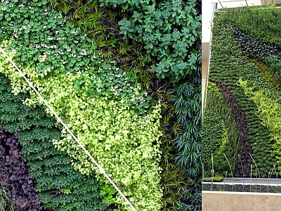 绿植外墙