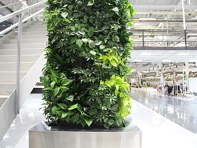 绿植墙