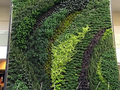 户外绿植墙