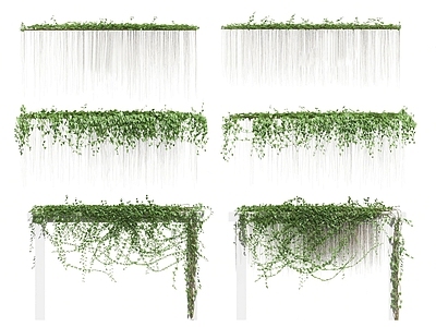 现代户外藤本爬藤蔓绿植墙植物组合 自然法藤蔓 爬虎蔷薇藤蔓常青藤 墙