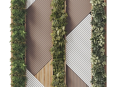 绿植墙 植物墙