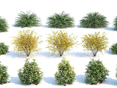 花草组合 灌木 小树 细化植物 室外植物
