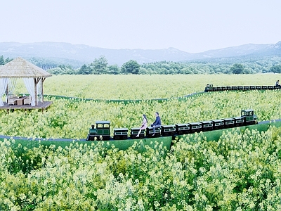 现代乡村公园 油菜花田园风光小火车