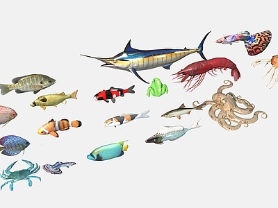 水族馆鱼类动物 水生类动物 海底生物