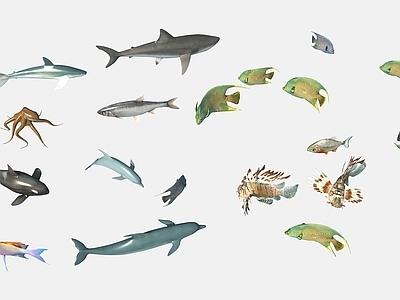 水族馆鱼类动物 水生类动物 海底生物