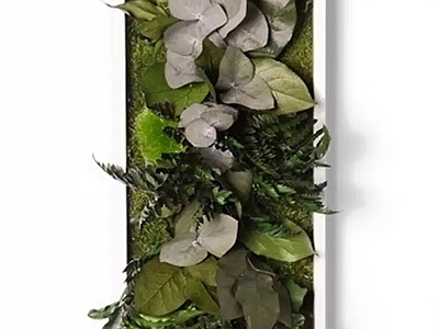 植物墙贴图