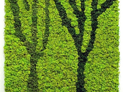 苔藓植物墙