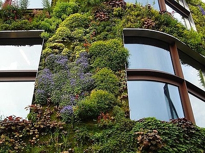 植物墙贴图