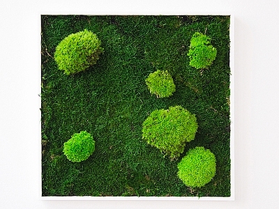 植物墙贴图