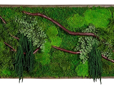 苔藓植物墙