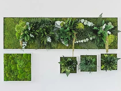 绿植墙