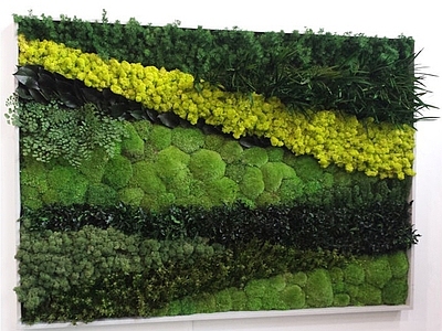 绿植墙