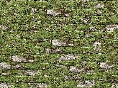 绿植墙