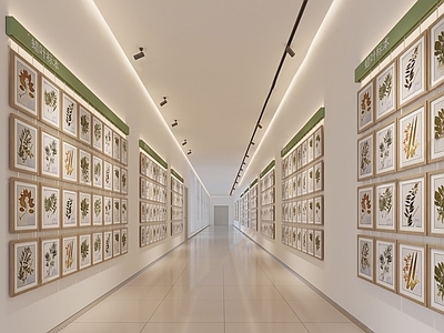 现代其他展厅 蜡叶标本 中药标本 走廊