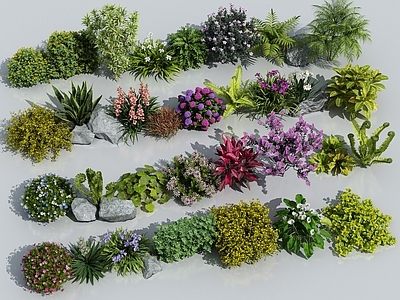 花草组合