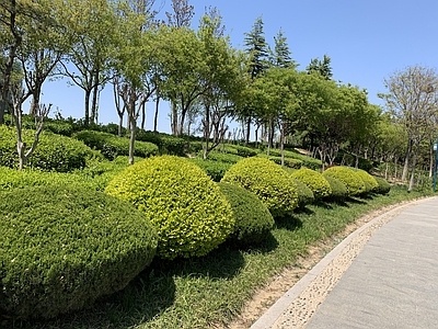 街道外景