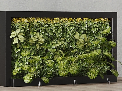 绿植墙 植物墙