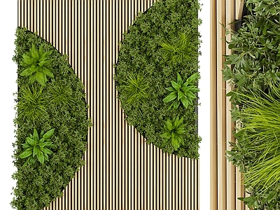 植物墙