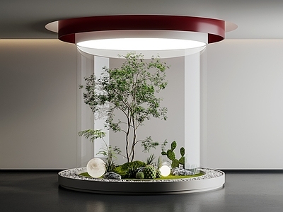现代室内景观造景 树 月球灯 苔藓 仙人掌