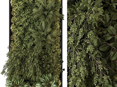 植物墙 墙