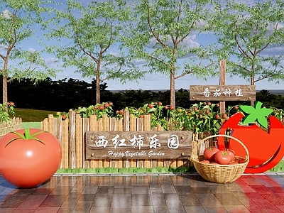 现代西红柿乡村公园景观 番茄采摘园 蔬菜种植基地 亲子蔬菜农场 农场