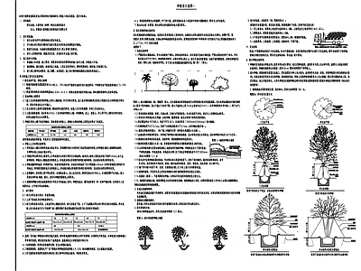 种植设计说明 图库