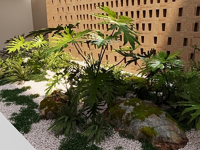 植物堆 绿植 植物组合 园林景观 碎石 植物堆