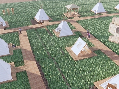 现代稻田露营公园 水稻露营地 田园 乡村水吧 乡野 星空营地