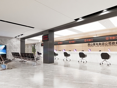 现代政务大厅 营业厅 社区接待大厅 其他办公区域