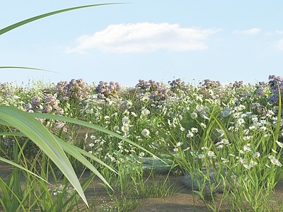 花草组合