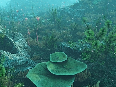 现代海底世界 水生植物 珊瑚 海草 石头 海底 海底生物 海洋 珊瑚群