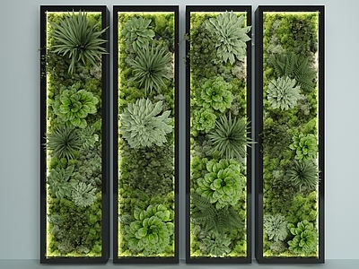 绿植墙 苔藓墙