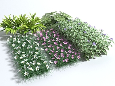 花卉 花草 花丛