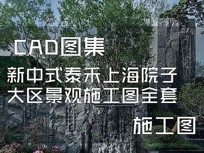 新中式泰禾上海院子示范区景观CAD施工图