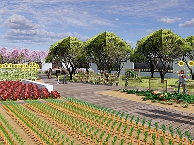 现代乡村蔬菜种植基地 菜园菜地 农村庭院菜园 农场田地蔬菜 生态田园