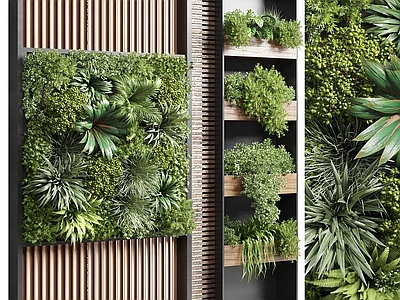绿植墙
